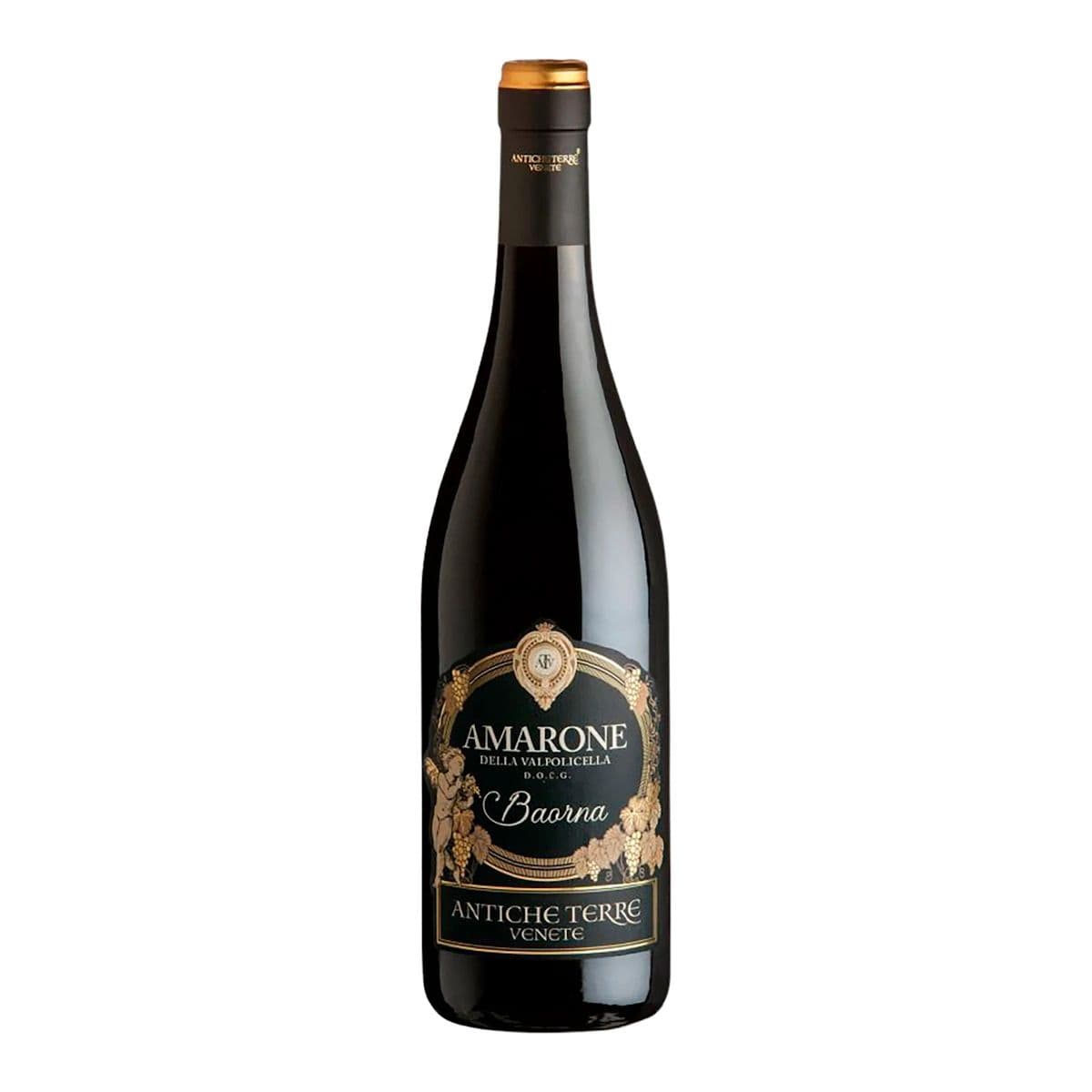 Antiche Terre Amarone